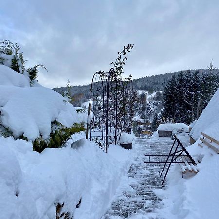 Fluegels Rebi-Baude Villa Rechenberg-Bienenmühle Buitenkant foto