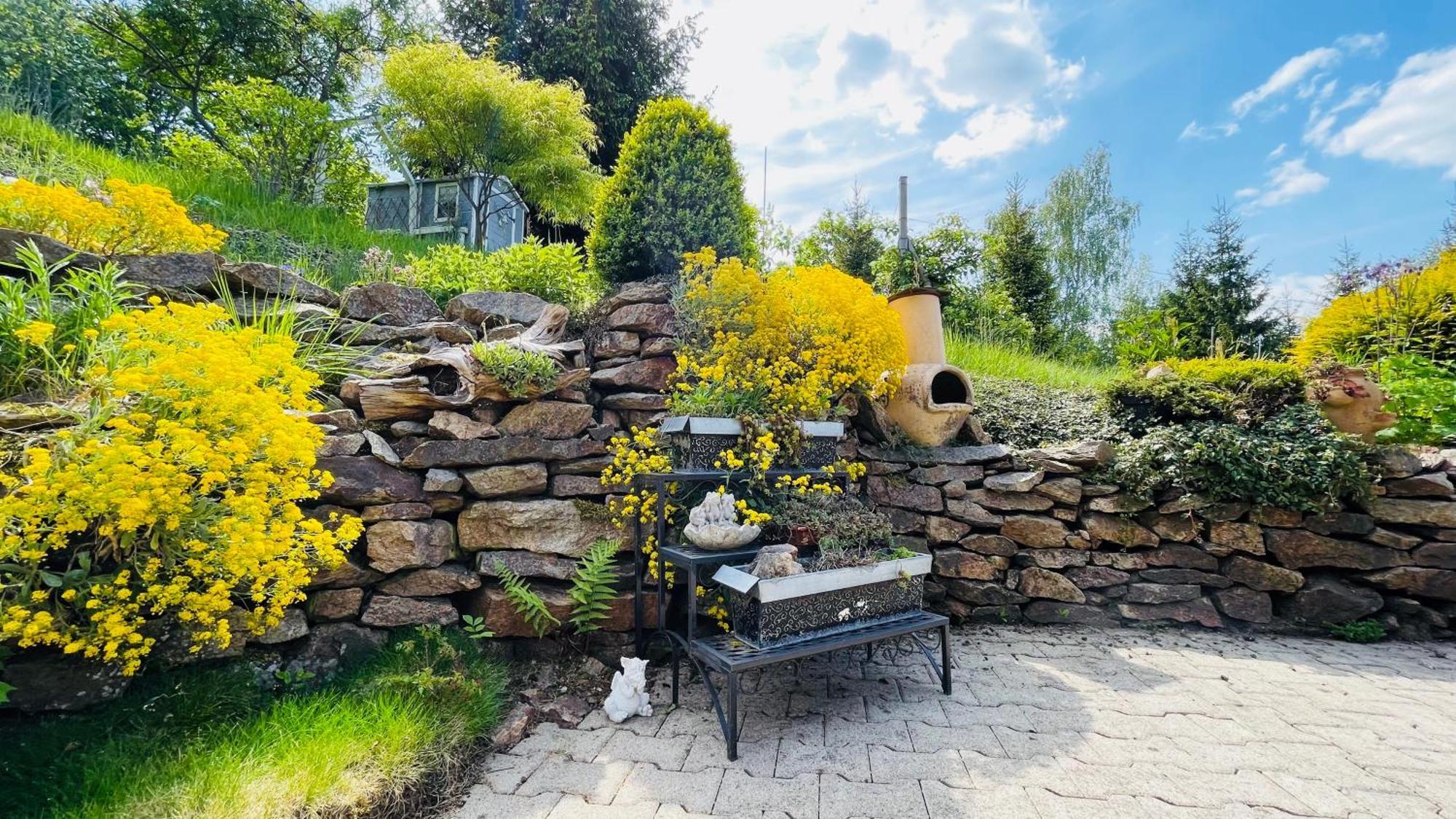 Fluegels Rebi-Baude Villa Rechenberg-Bienenmühle Buitenkant foto