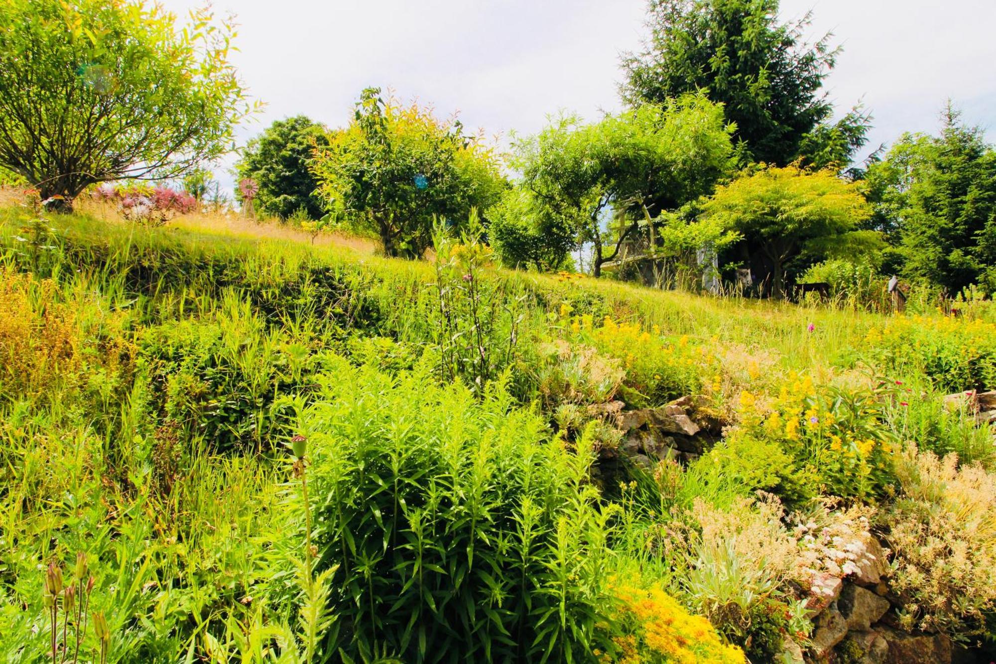 Fluegels Rebi-Baude Villa Rechenberg-Bienenmühle Buitenkant foto